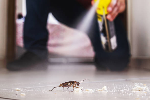 Pest Prevention Services in Lafayette, OR